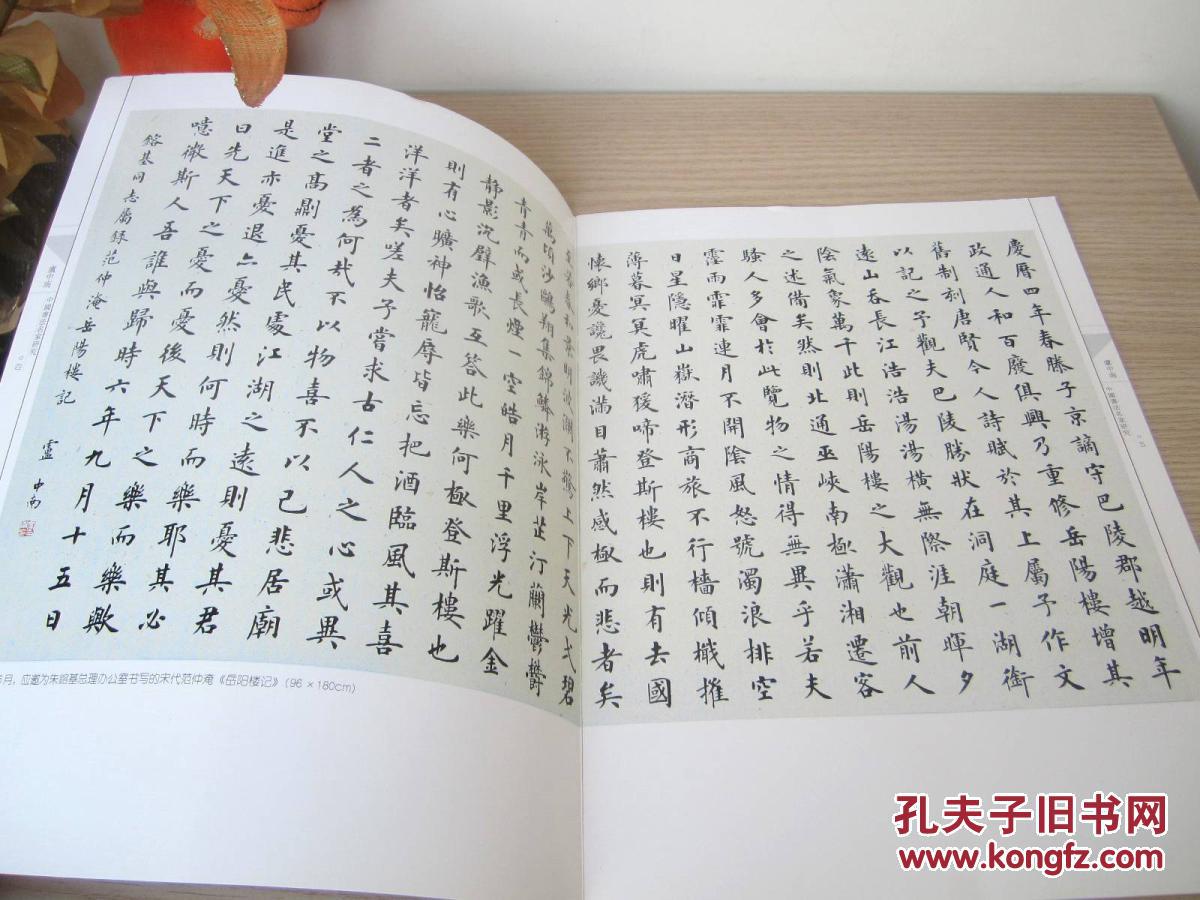 中国书法名家研究 卢中南