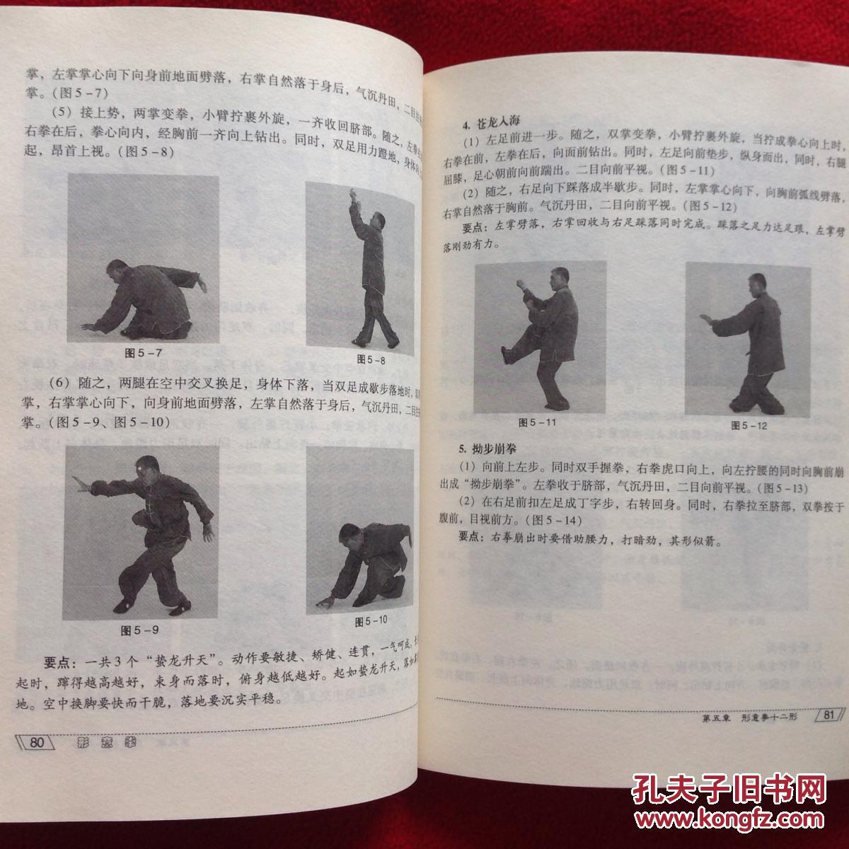 形意拳:十二形精典套路【正版原书】