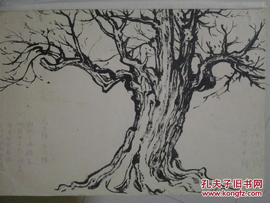 西安美院流出——国画课稿(古树