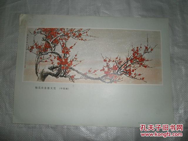 欢梅花喜漫天雪:中国画一张《1969年国庆写生》印刷品
