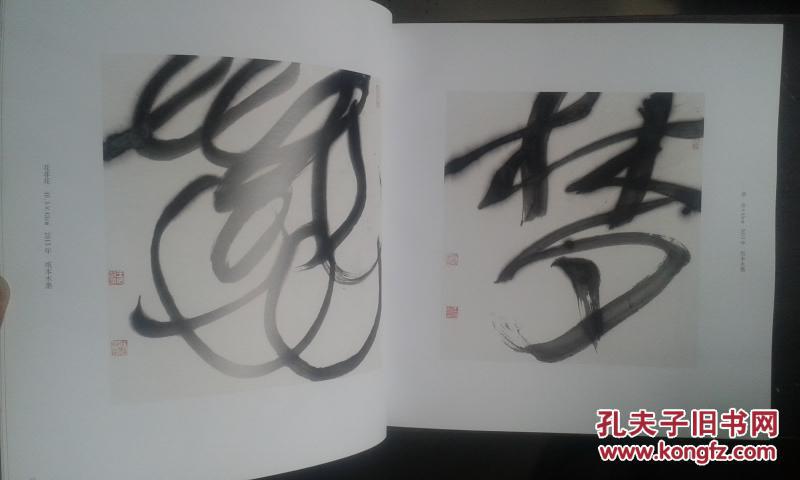 书视界2013国际现代书法艺术展王冬龄王天德白砥黄一鸣韩天雍等30位