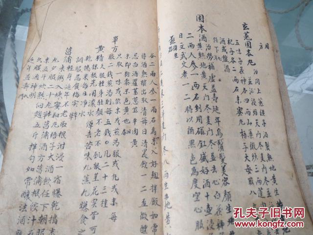 手写本 身形 养老 精气神 惊悸 怔忪 健忘 癫痫 等 药方病案病例 1