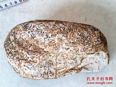 奇石摆件天然原石;晋南鱼籽石16厘米*8厘米*6厘米重3市斤