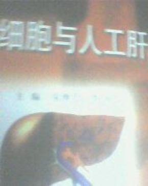 pYYBAFTA0Y6ADUz0AAAWcymtQfo081_n.jpg