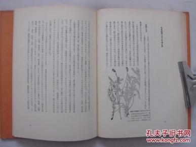 女人花电子琴曲谱简谱(2)