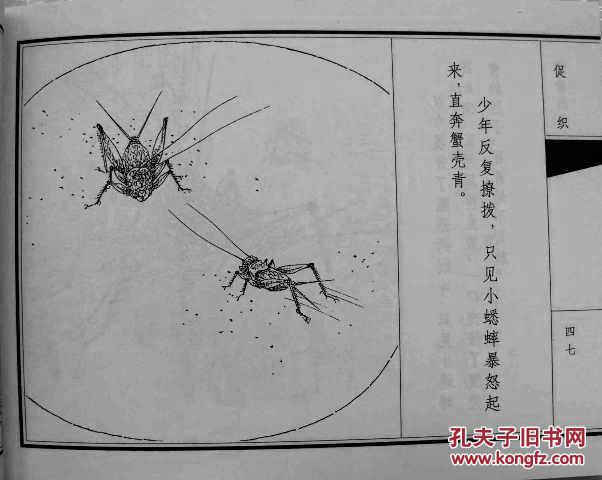 促织,天津聊斋志异连环画(收藏本)