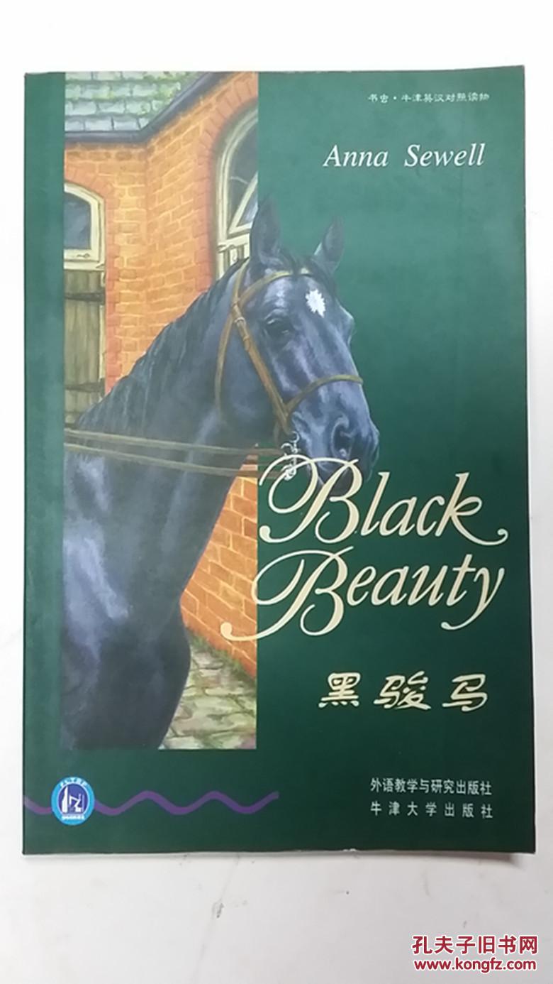 黑骏马 