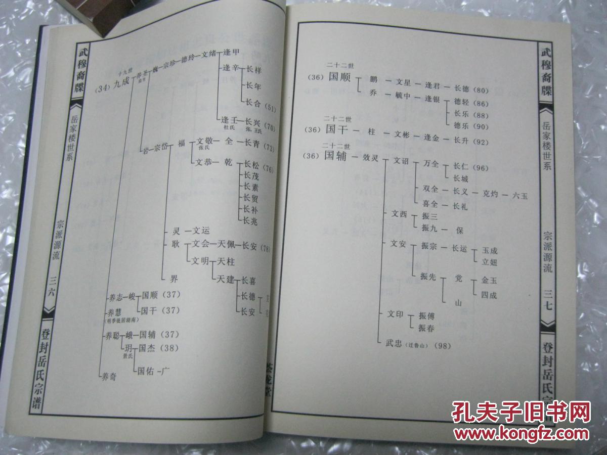 河南登封岳家楼岳氏宗谱(岳飞第五子岳霆后裔.