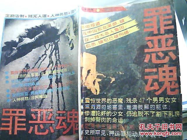 罪恶魂 16开 (原名: 血溅讷河) 原版书 1993年1版1印