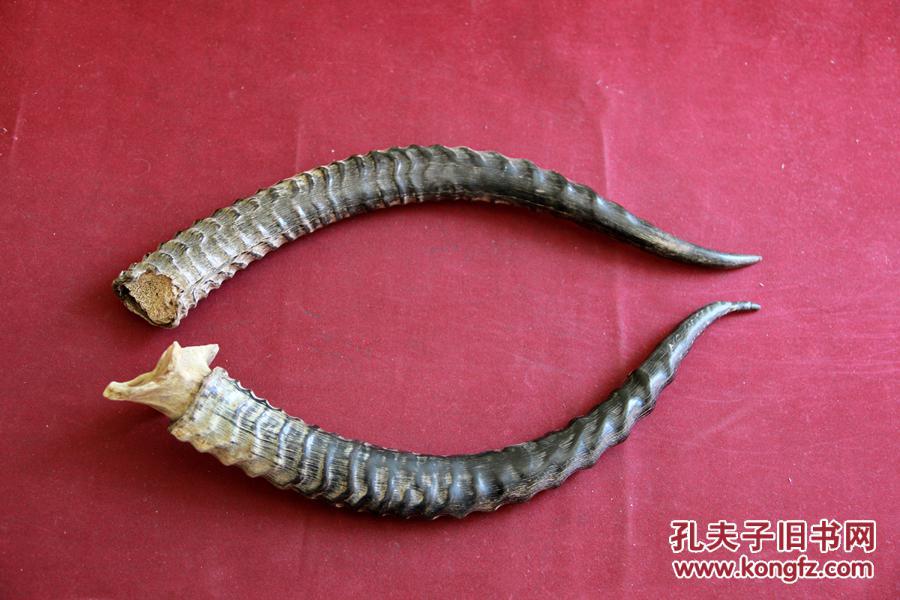 【图】包邮 羚羊角 一对_价格:300.00_网上书店网站