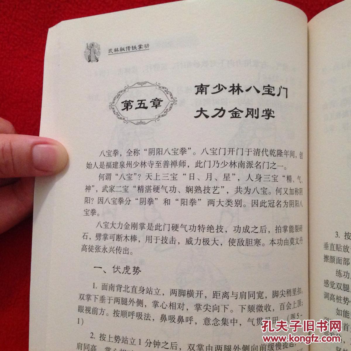 顾汝章秘传铁砂掌初中高级全套功法【正版原版·一版一印】