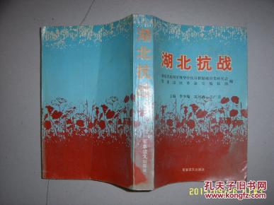 湖北抗战(武汉保卫战中的陈诚,武汉会战中的黄广战役,两次随枣会战