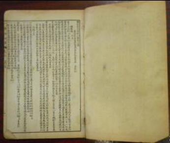 李亚峰润诺集团董事长(2)