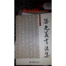 中国艺术家丛书:梁光义书法集