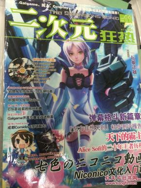 二次元狂热第十一期--赠品无纸膜_简介_作者:二