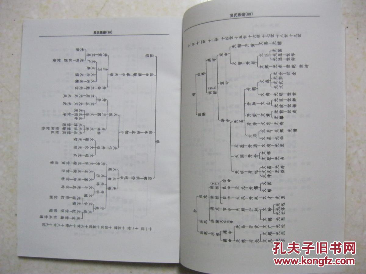 录正本(内含毕邑先谱卷一卷二);贵州省毕节市一带;自良弼祖下传排行