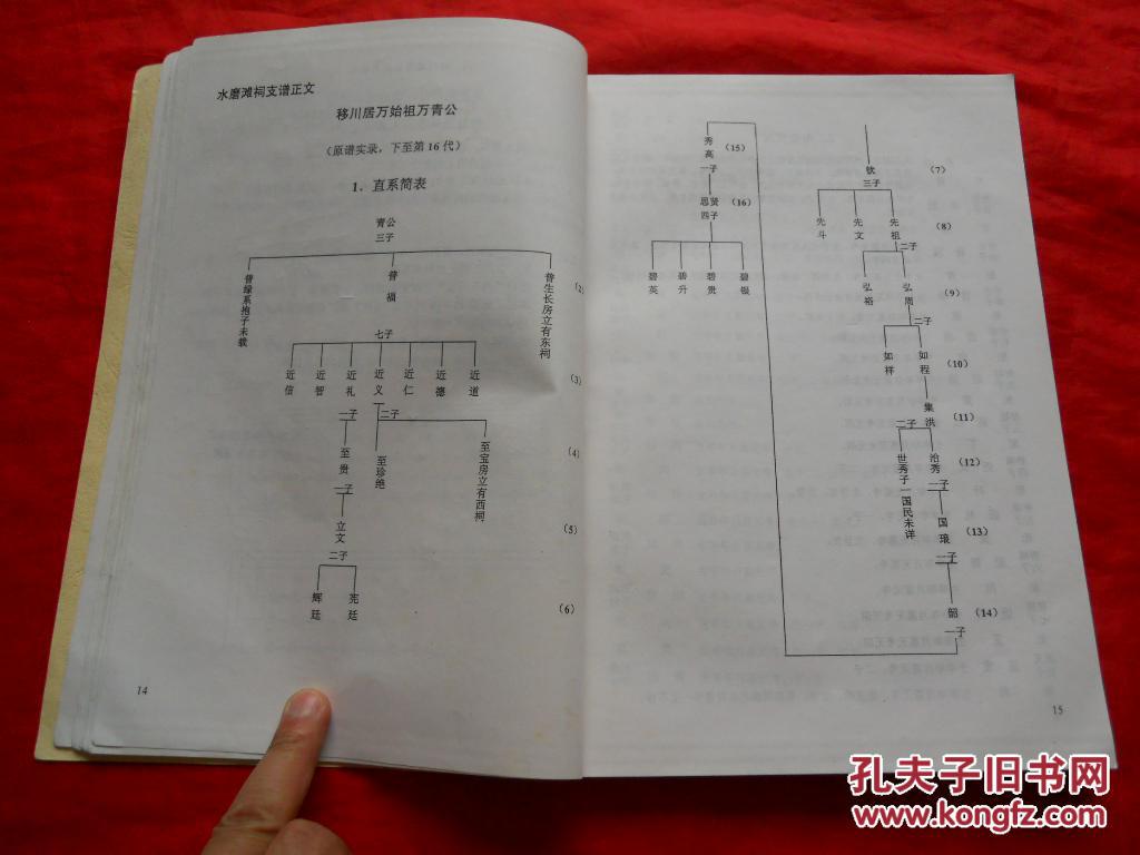 2002年,家谱族谱,万氏宗谱,水磨滩祠支谱(慎拍,不退不