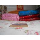 红色舰队:2010年中美海军大决战(我国第一部战