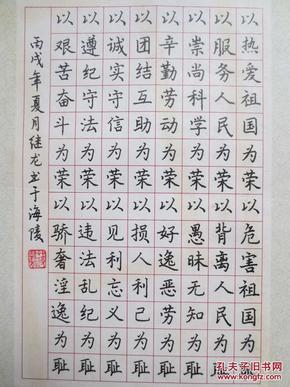 江苏泰州蒋继龙硬笔书法作品