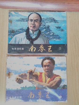 南拳王