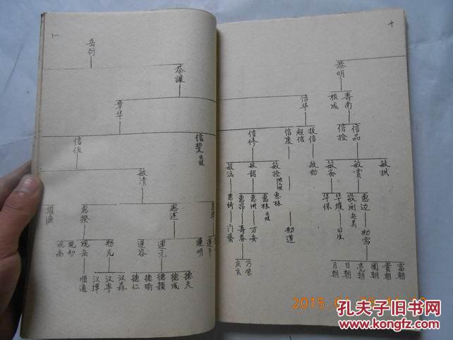 27831《林氏族谱》油印本
