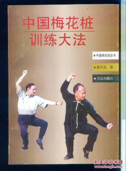 中国梅花桩全书【中国梅花桩文武大法,训练大法,成拳大法,器械的练法
