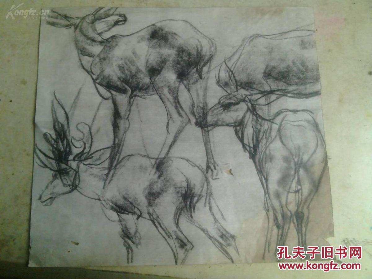 (辽源书协主席)吴国明1965年素描速写之6.梅花鹿.画心38*26.5cm