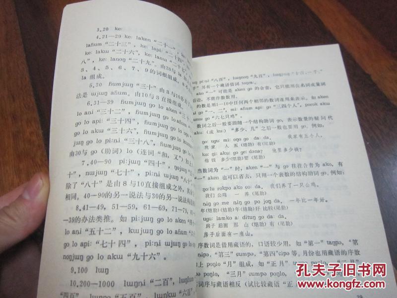 中国少数民族语言简志丛书.珞巴族语言简志(崩尼-博嘎尔语) 品佳