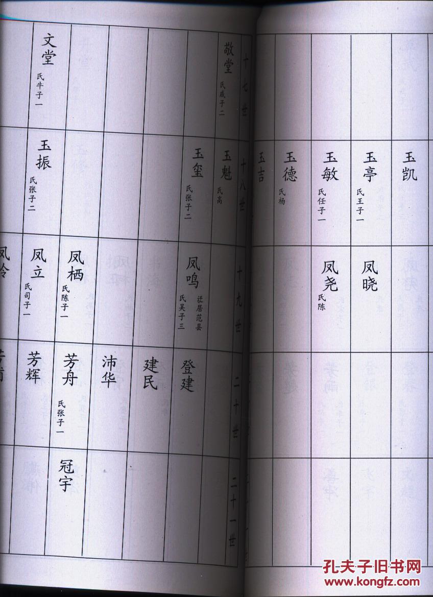 燕氏宗谱家谱族谱类胶版纸印刷428页大厚册