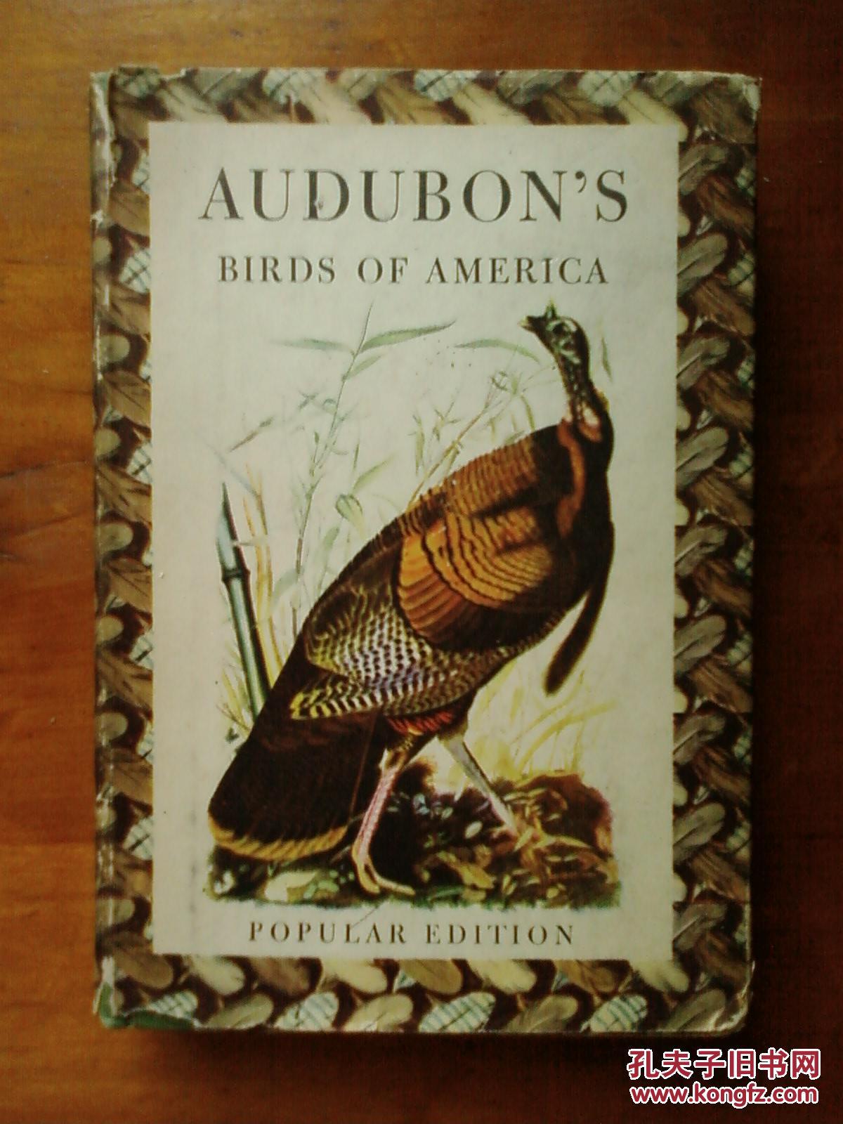 audubon's birds of america 美国鸟类图谱 1950年英文原版