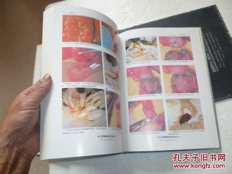 人类生殖调节图谱