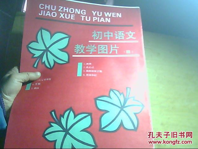 【图】初中语文教学图片。【四】全12幅_上海