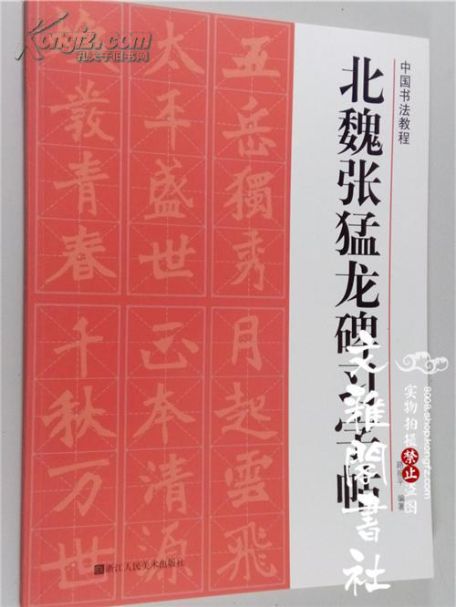 北魏张猛龙碑习字帖 中国书法教程/路振平/魏碑楷书临摹帖 米字格