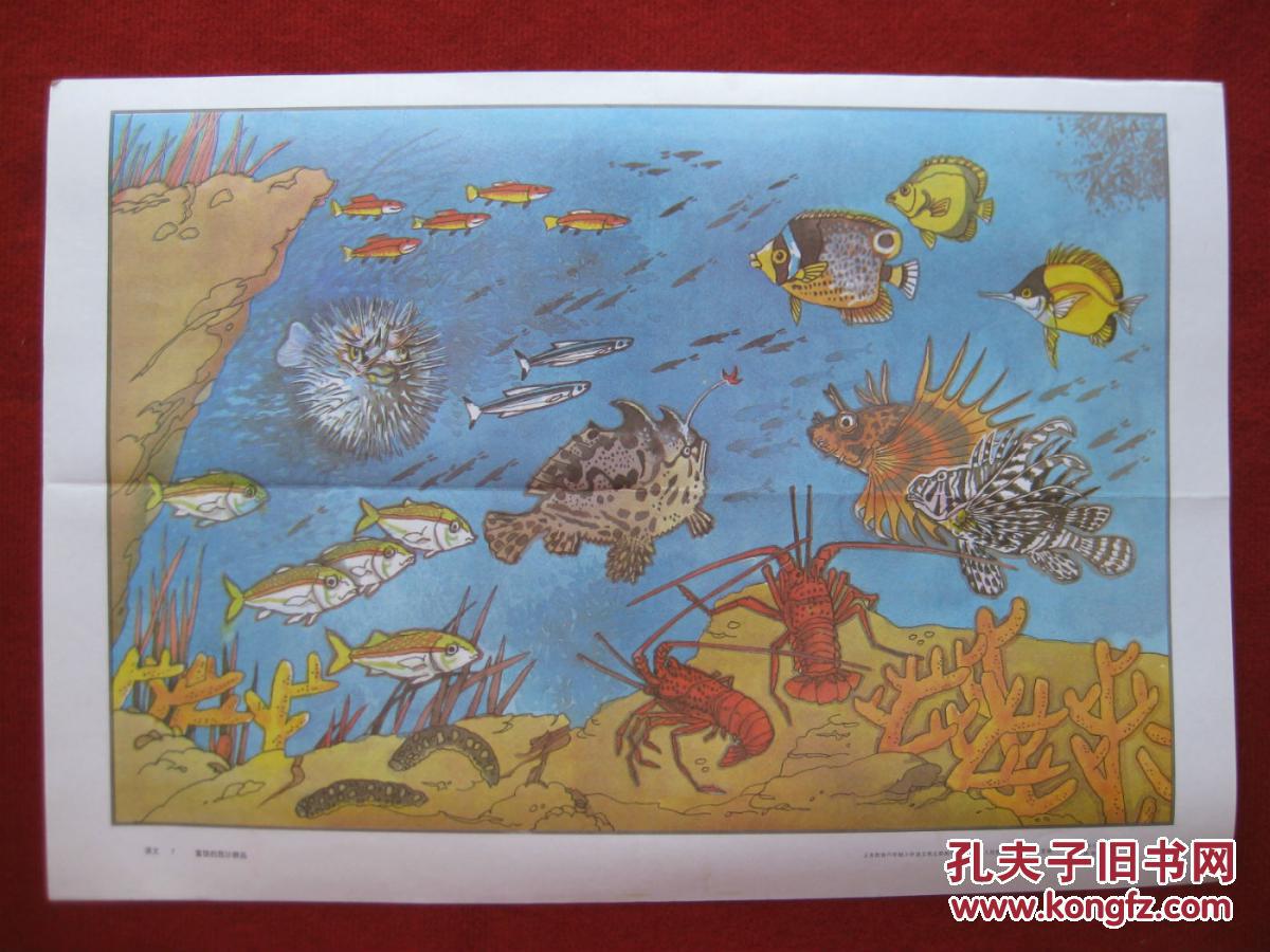 保老保真教学挂图90年代《课文7 富饶的西沙群岛》小学语文第五册