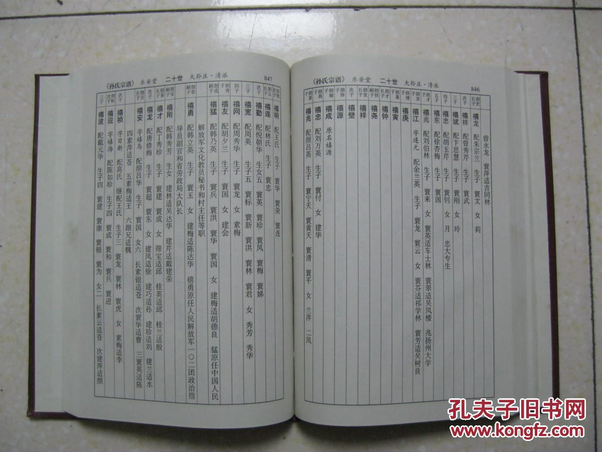 孙氏宗谱(上卷,下卷.江苏省建湖县一带.始祖孙仲仁.辈