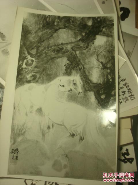 绍兴出生人口_绍兴黄酒(3)