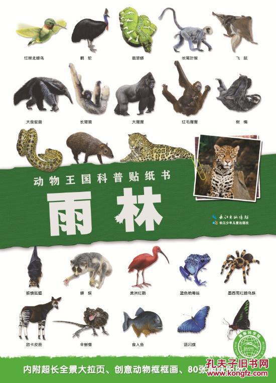 创意动物框框画.80