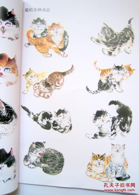 中国当代绘画范本 郭利杰写意画鸡画猫