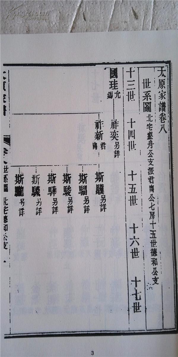家谱----太原王氏家谱 (卷八--卷二十七) 9本 16开 4498页