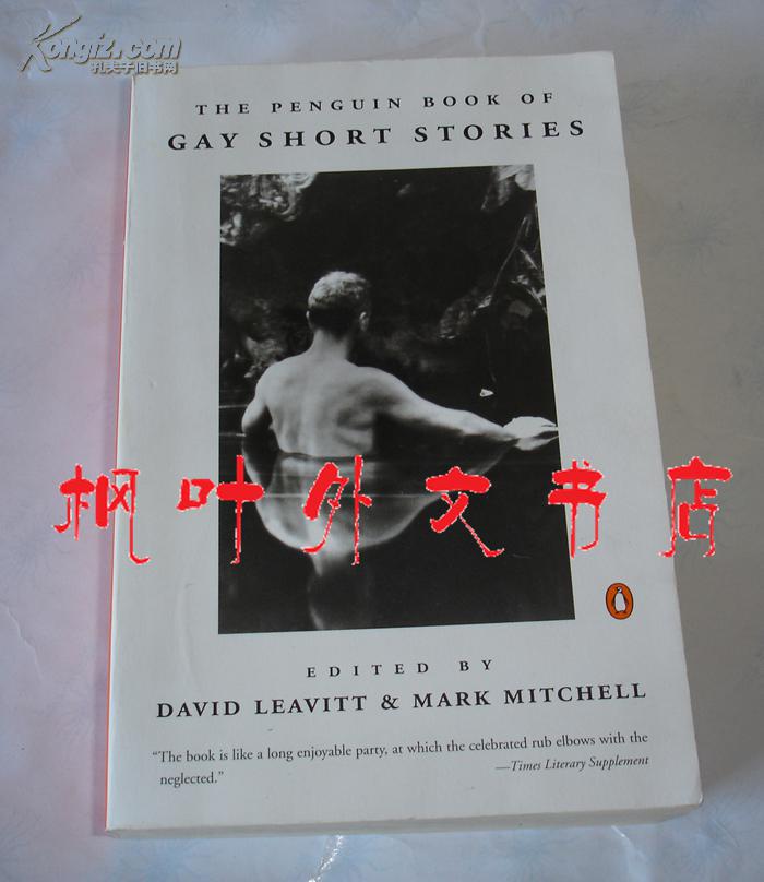 【图】英文原版 GAY SHORT STORIES 同志短
