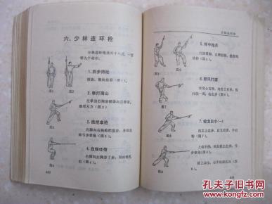 工字伏虎拳,少林九宫剑,梅花桩功,达摩易筋经等60多种少林功夫)