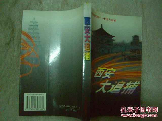 西安大追捕:百集系列电视剧―中国大案录