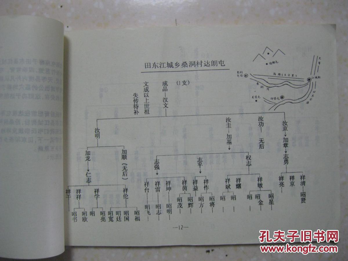 韦氏族谱(广西天等县一带.辈字:文成显有加乃详昭汉辅