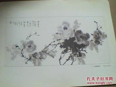 杜重兴写意牡丹画展