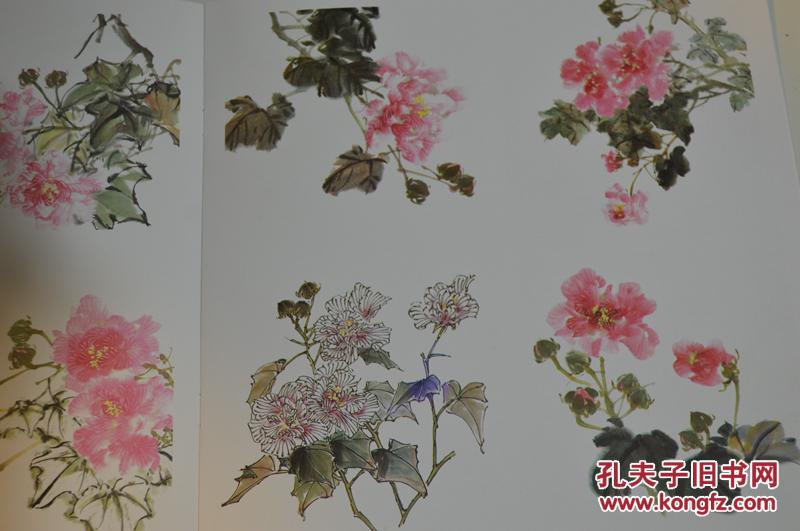 中国画技法.芙蓉花