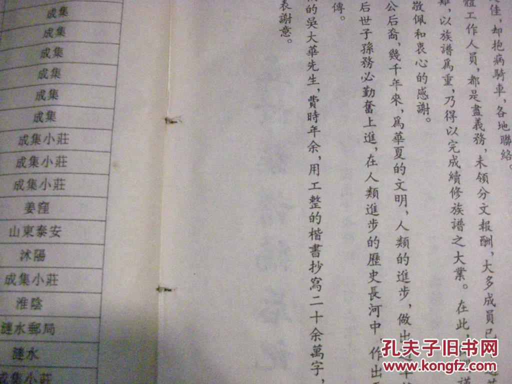 姜氏族谱【涟水天水堂】