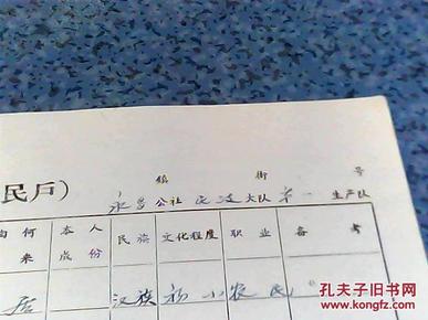 全国人口调查登记表_常住人口登记表(3)