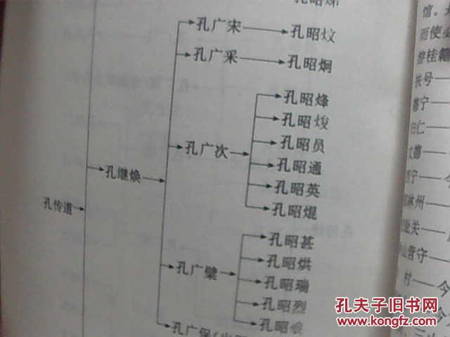 "孔氏家谱" 拍品编号:19185412