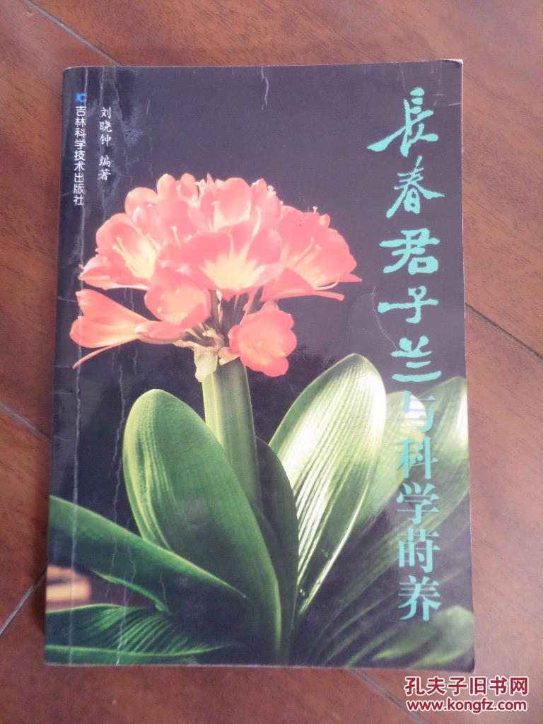 长春君子兰与科学莳养