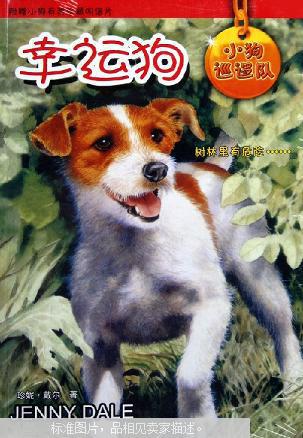 招财好运的狗狗名字,你知道吗?(二)
